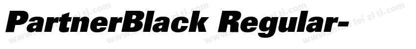 PartnerBlack Regular字体转换